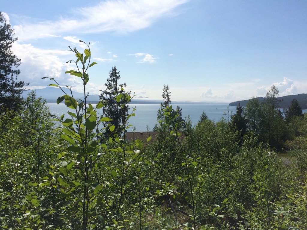 basecamp view